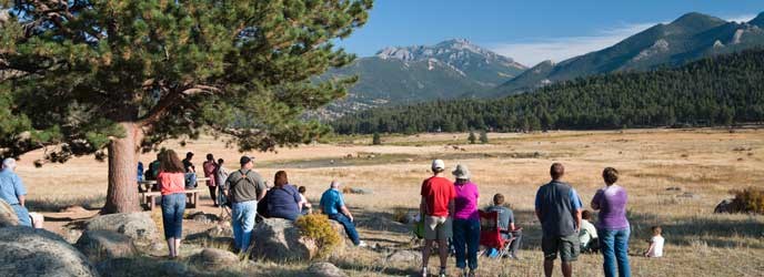 Visitors watch elk during the fall rut