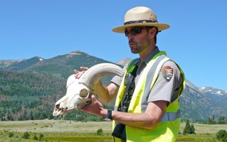 A ranger shows the public a bighorn sheep skull