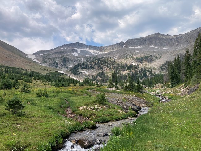 Stream in Skeleton Gulch in summer. Green grasses line the left and right banks of the stream. Mountain peaks are in the distance.