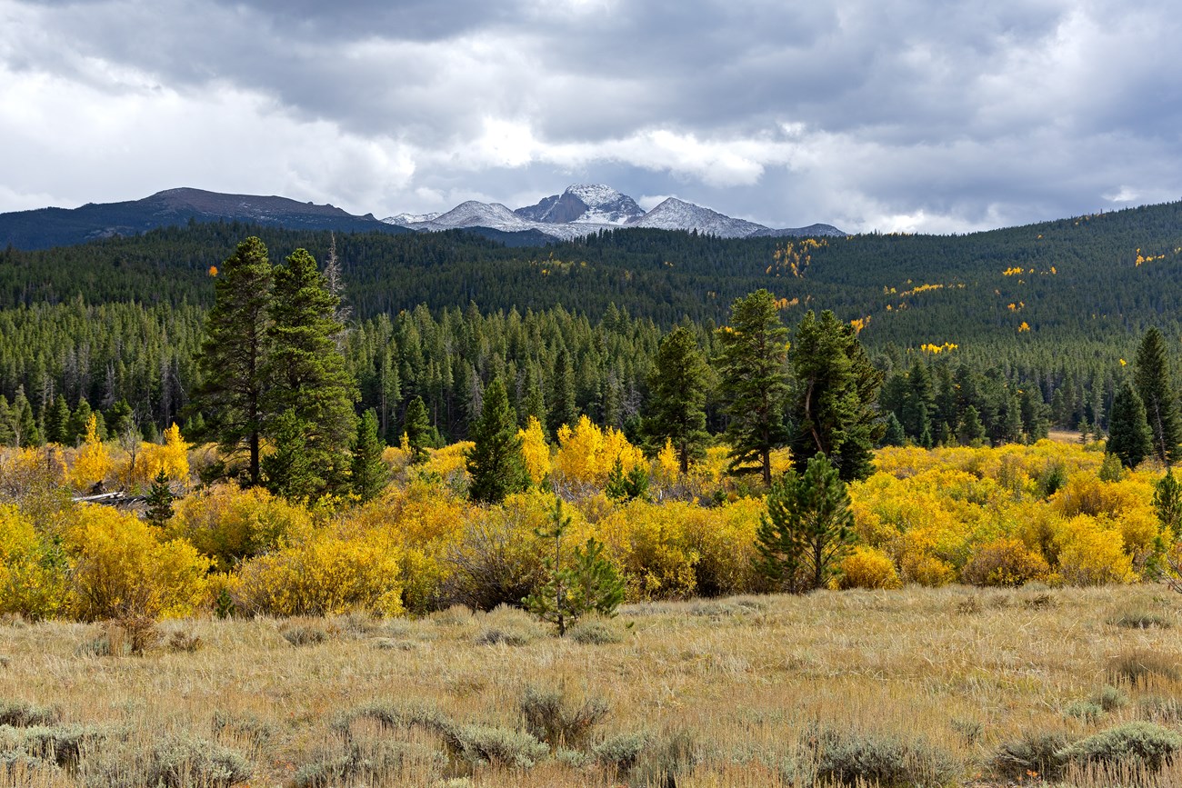 Longs Peak with Fall Colors