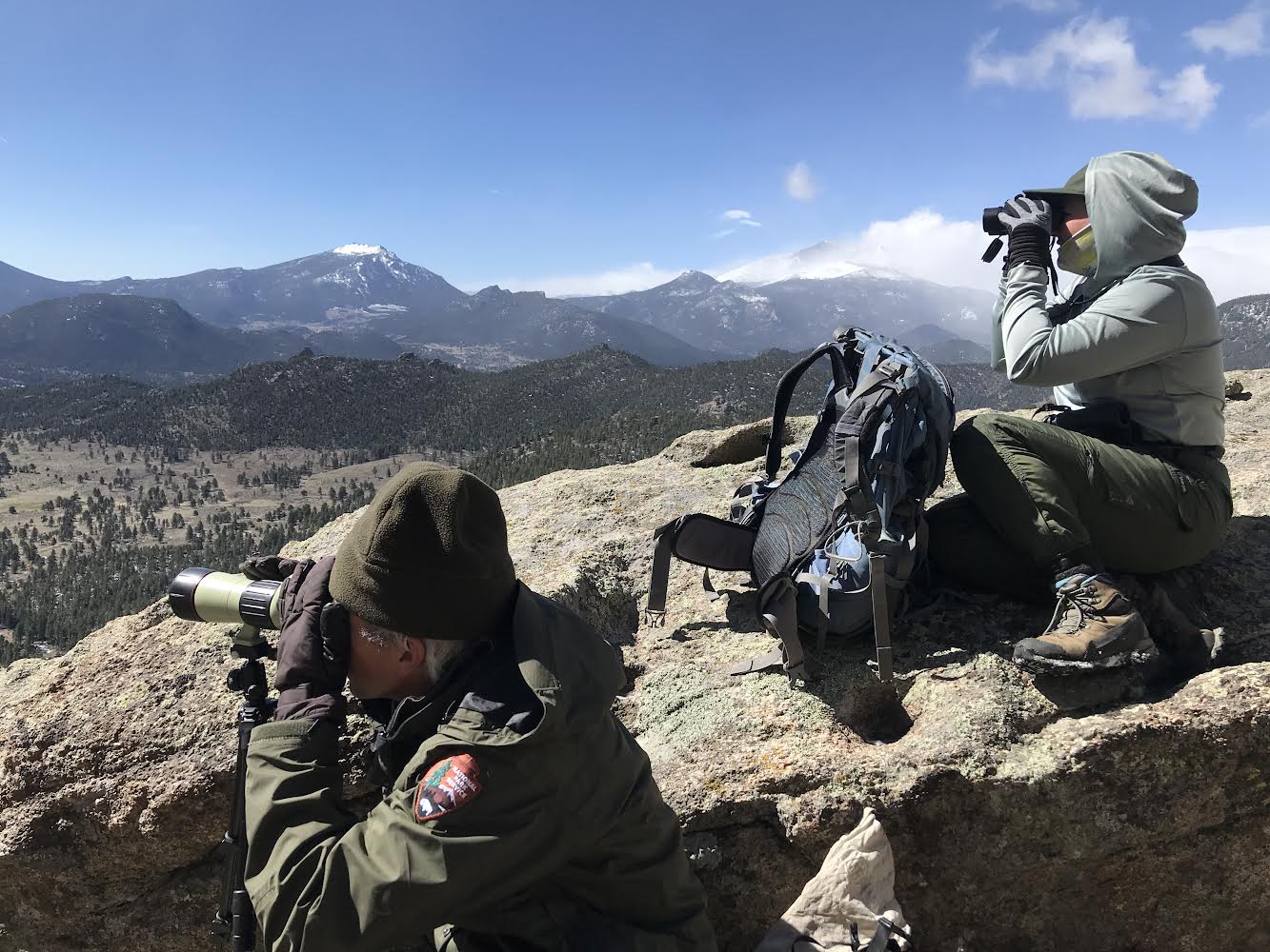 RMNP wildlife managers are in the field and observing birds of prey from a distance with binoculars