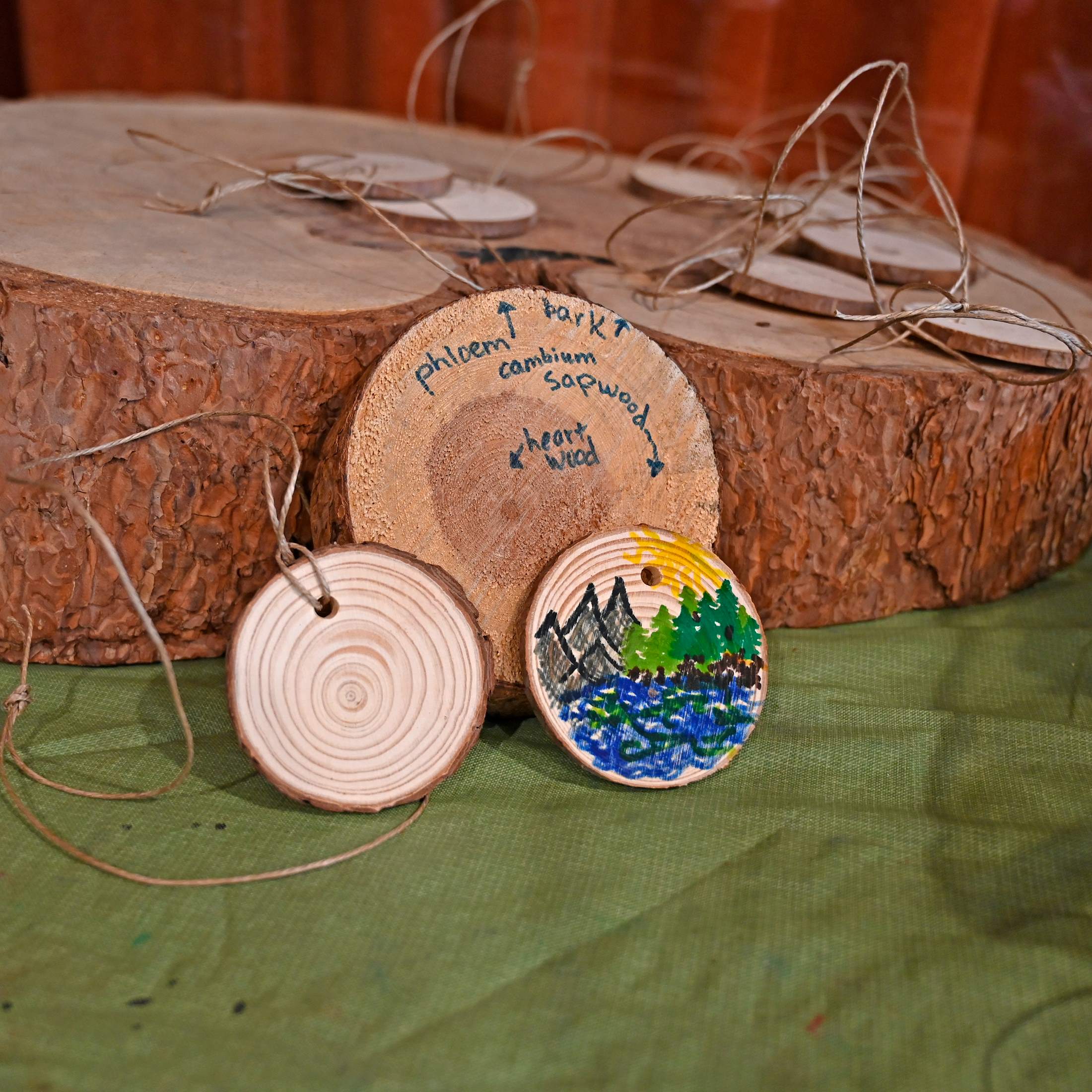 Three small tree cookies are sitting on a table, one is decorated with colored marker, featuring a sketch of mountain peaks