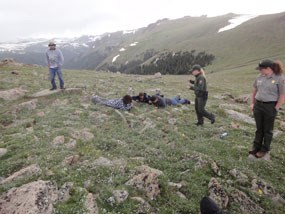Students getting down to take a close look at the alpine tundra.