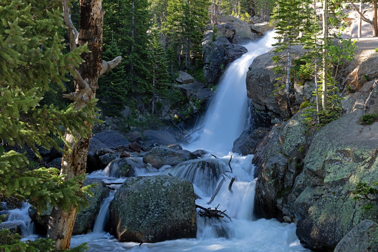 Alberta Falls flowing high and fast in Summer