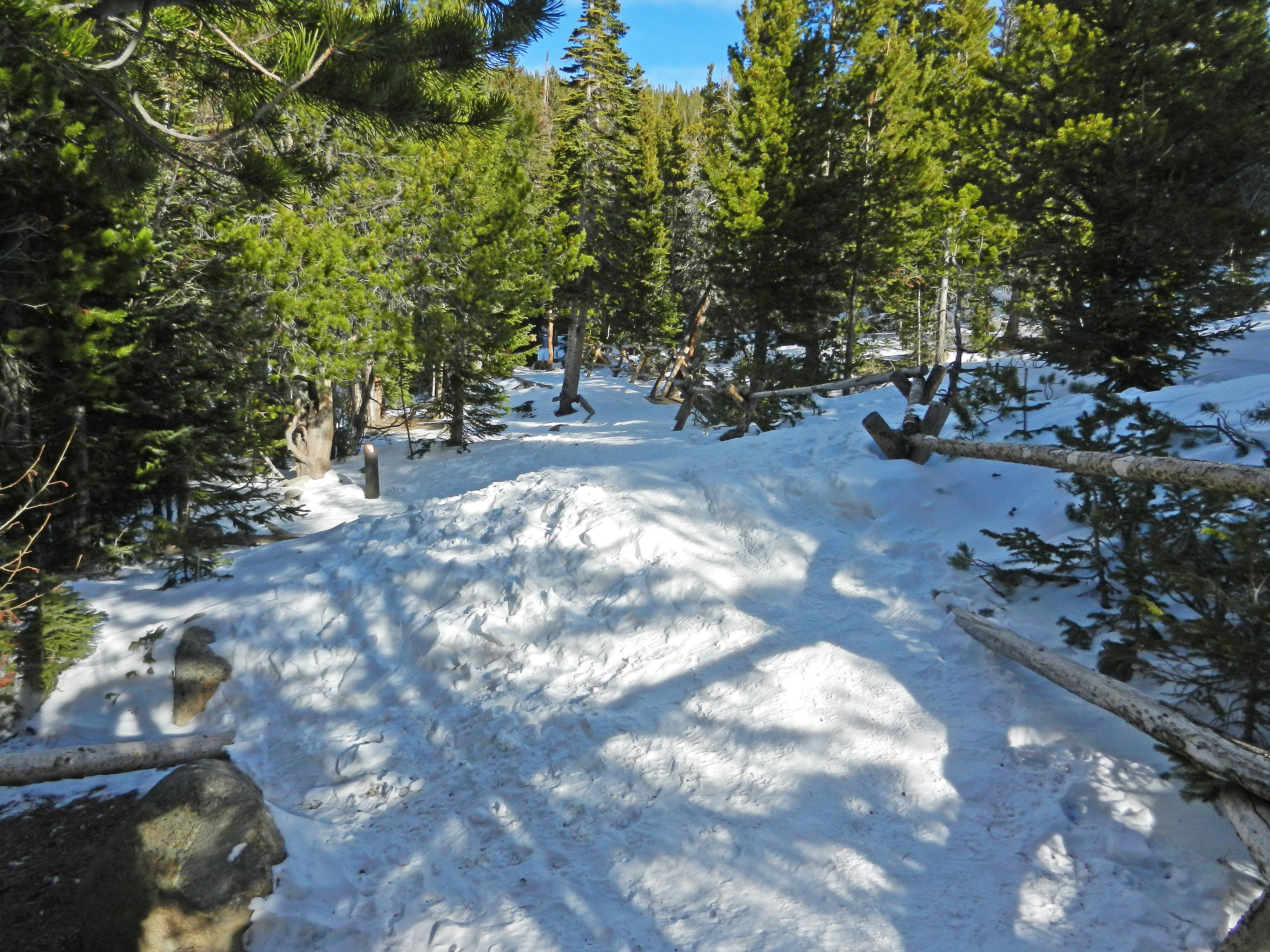 Deep Snow on the Bear Lake Loop Trail