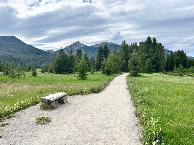 Coyote Valley with a viewing bench