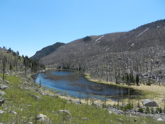 Cub Lake on a sunny day