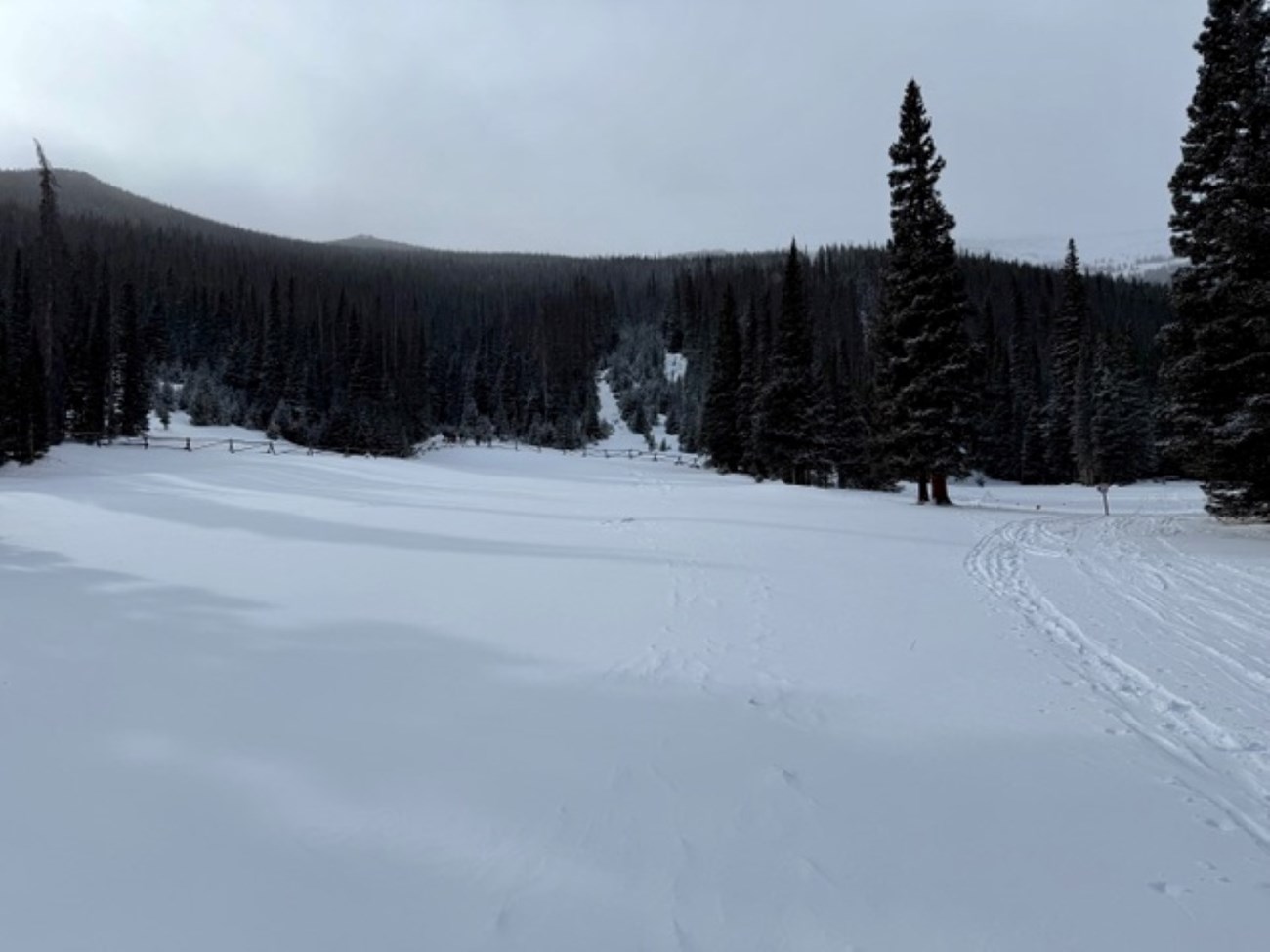 The Hidden Valley Sledding Hill is covered with a layer of fresh snow. The sky overhead is grey and cloudy.