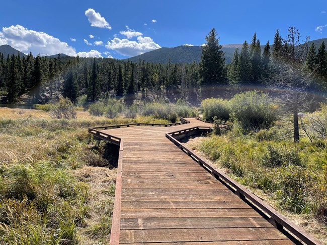 New Sprague Lake Boardwalk