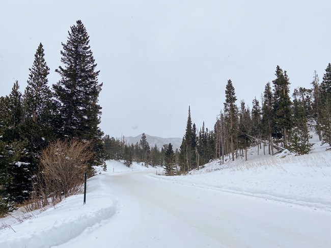 A road in RMNP is covered with a layer of fresh snow and ice
