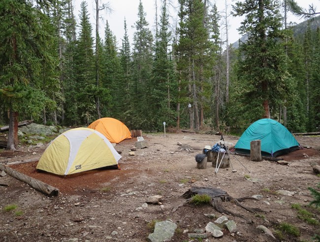 Three Tents set up in a North Inlet Wilderness Campsite