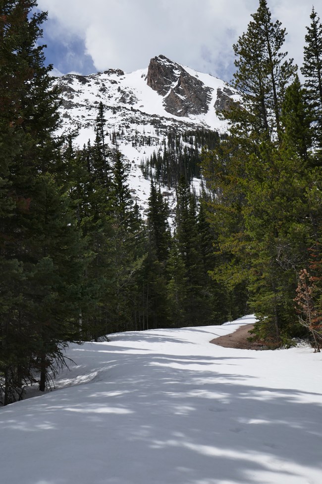 Old Fall River Road with Snow