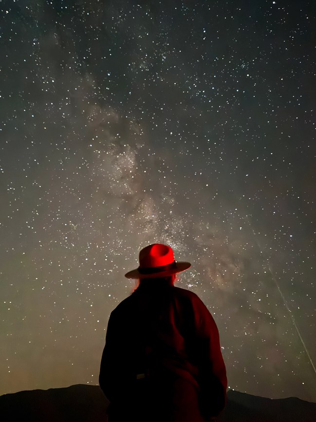 Park Ranger looking up at the stars at night. Stars are bright in the sky overhead