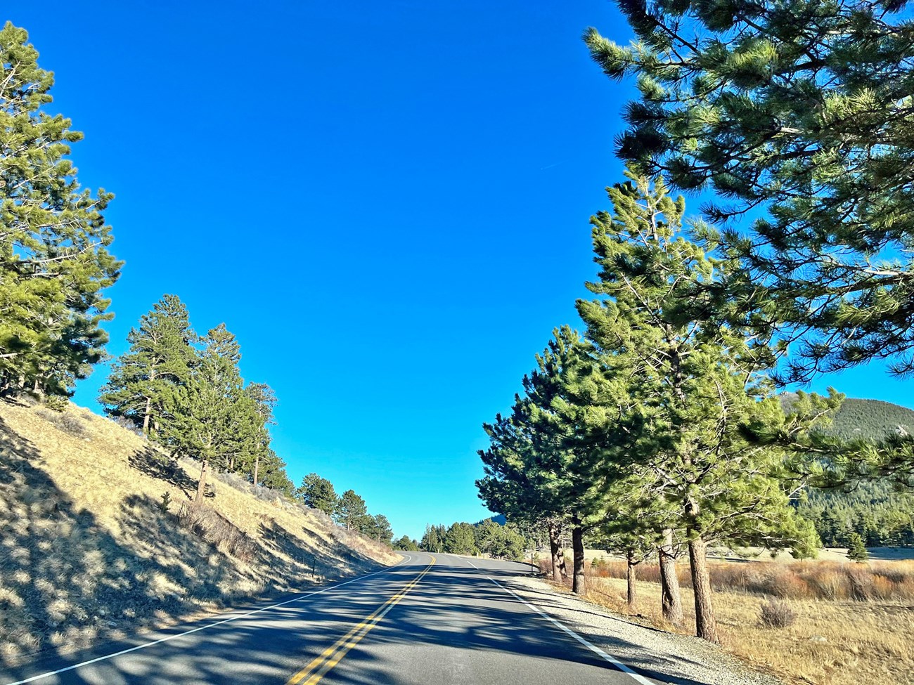 Park Roads on March 20 2026