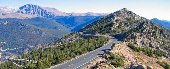 Trail Ridge Road at treeline