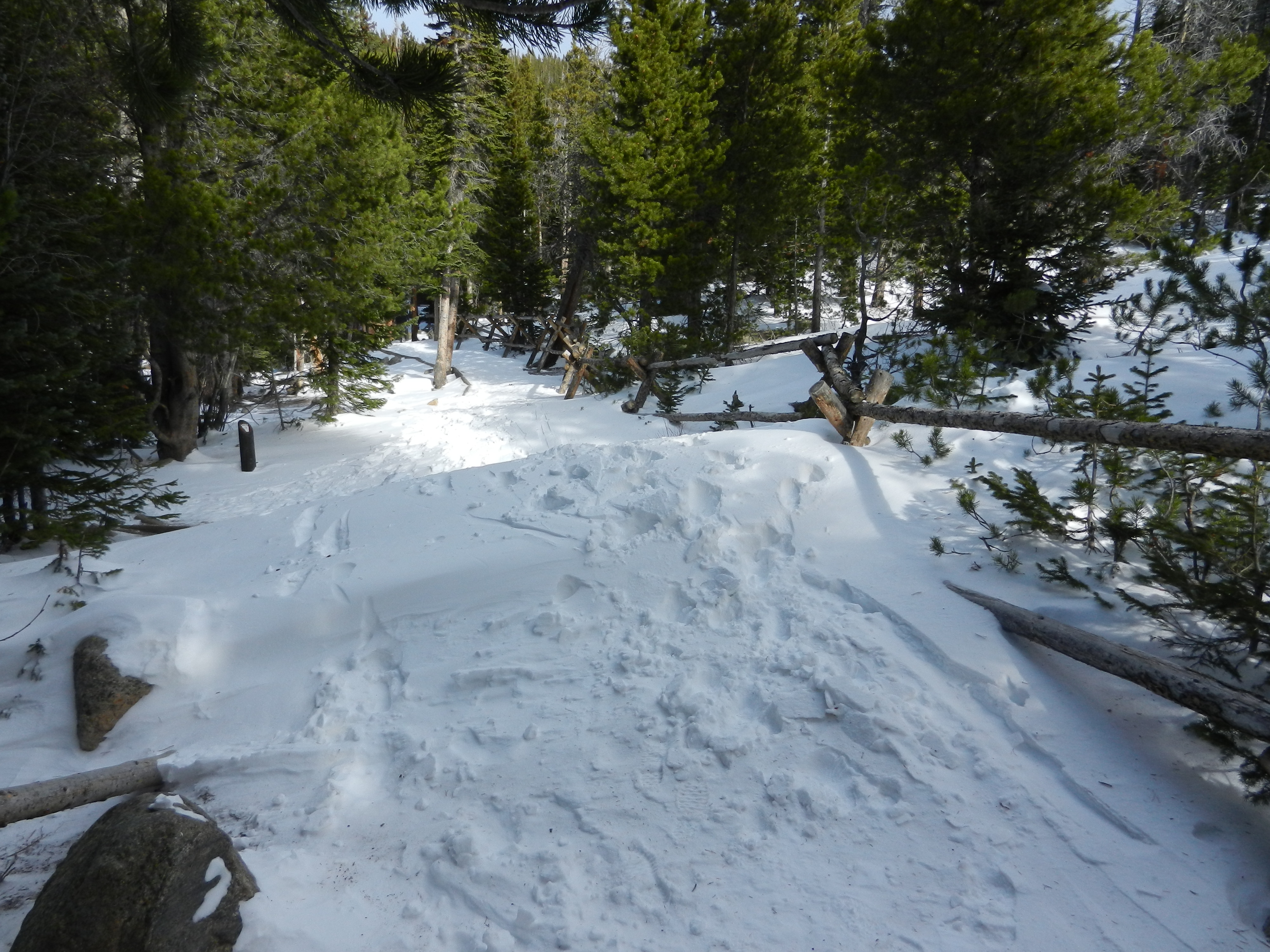 Snowdrift on the Bear Lake Trail