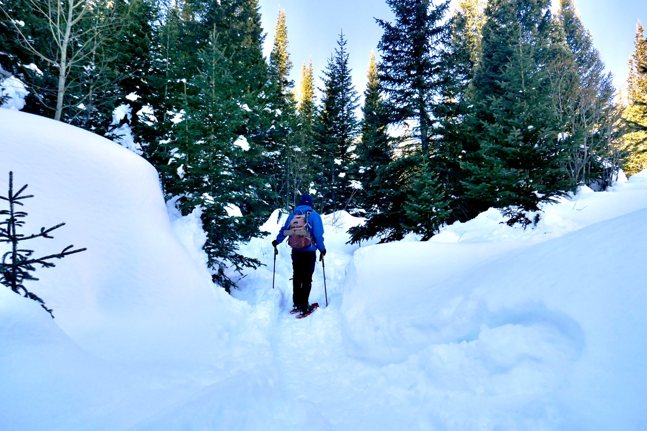 Snowshoeing through Deep Snow on March 20, 2024
