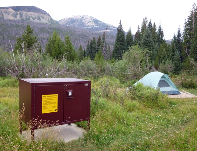 Tent and bear box at Timber Creek Campground