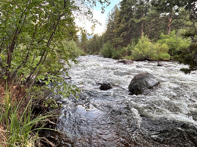 Swift moving water is flowing over boulders in the Big Thompson River