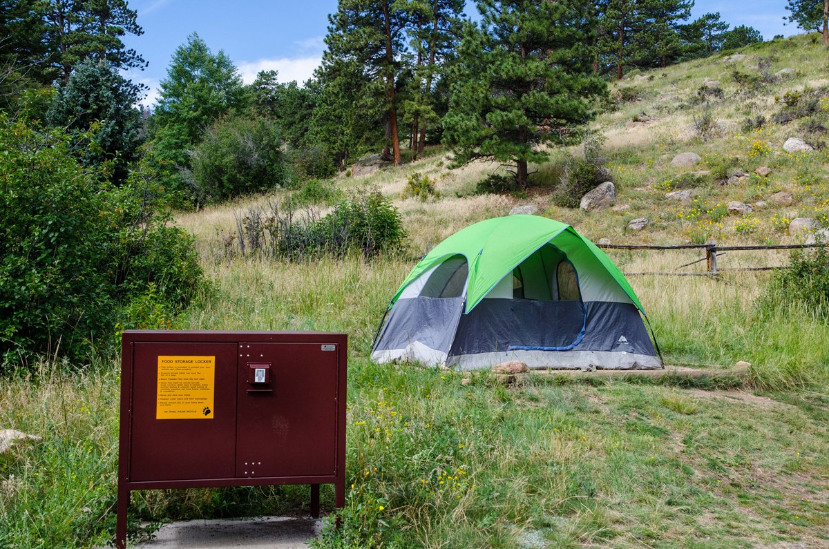 View of a campsite at Aspenglen Campground, a green tent is seen on tent pad with a bear box in the foreground