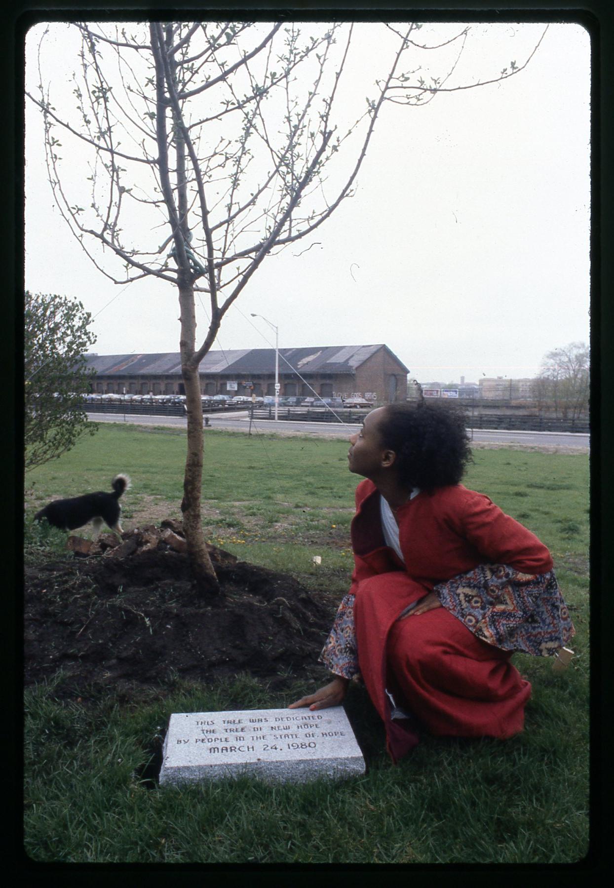 A woman in a red coat kneels next to a newly planted tree
