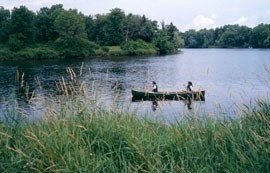 The river edged by trees and grasses, with a canoe and two women paddling