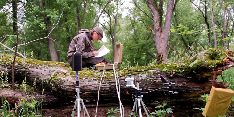 A woman sits on a large log in a forest collecting data from machines.