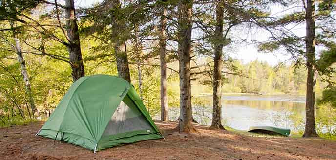 A green tent sits under big trees next to a river.