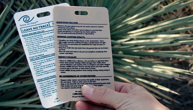 A hand holding two laminated cards with text on them