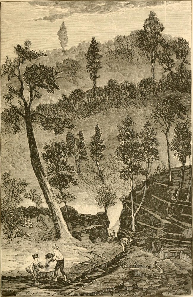 An illustration of miners working on a creek in a forest setting.
