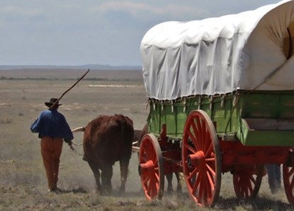 Man walking away from you beside a team of oxen pulling a covered wagon