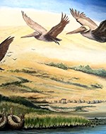 A mural showing flying pelicans and a marshy shoreline.
