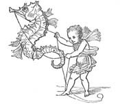 Fairy lassoing a seahorse