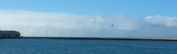 A bank of fog obscuring the Golden Gate Bridge.