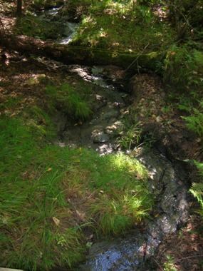 Springs and Seeps - Saint-Gaudens National Historical Park (U.S ...