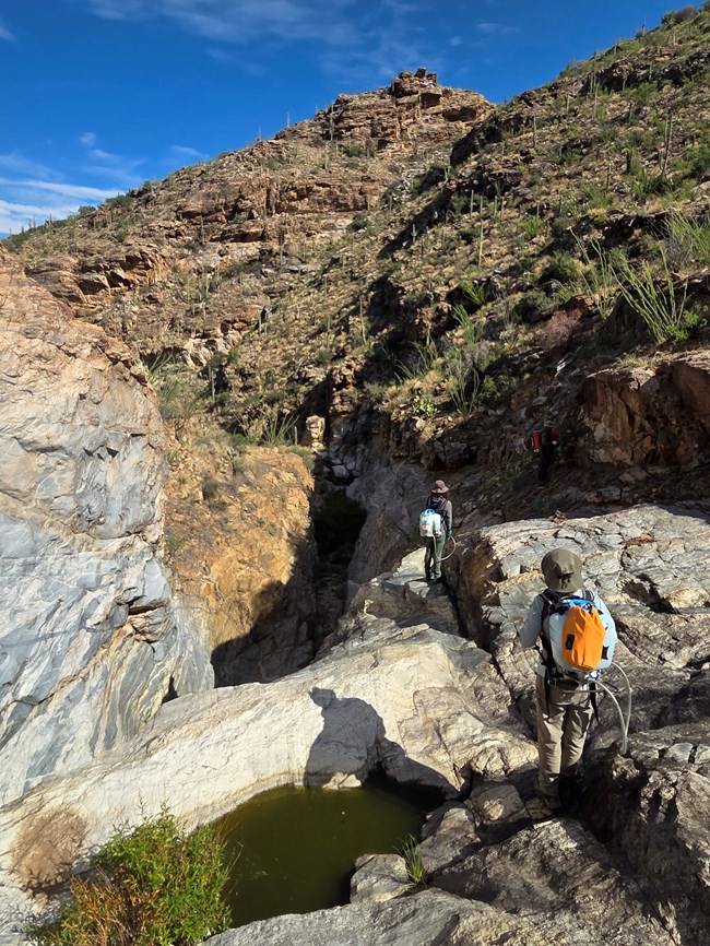 Vertical image. Three ranger walk along the right side of a rocky canal. A tall cacti covered mountain rises above them to the right, casting shade into the canal.