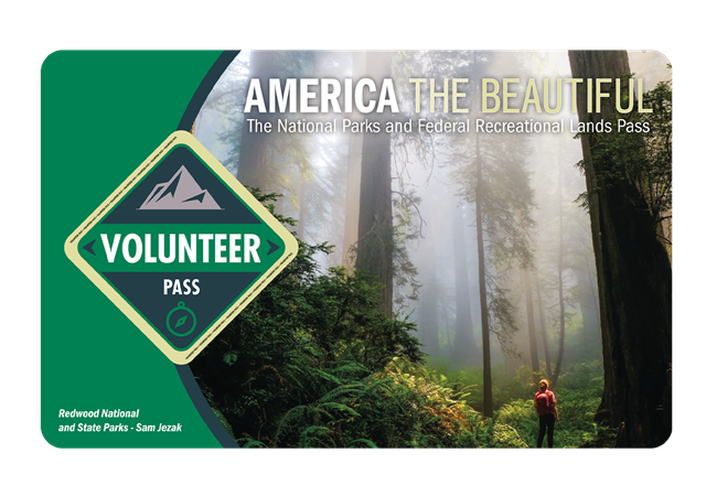 2018 Volunteer Pass
