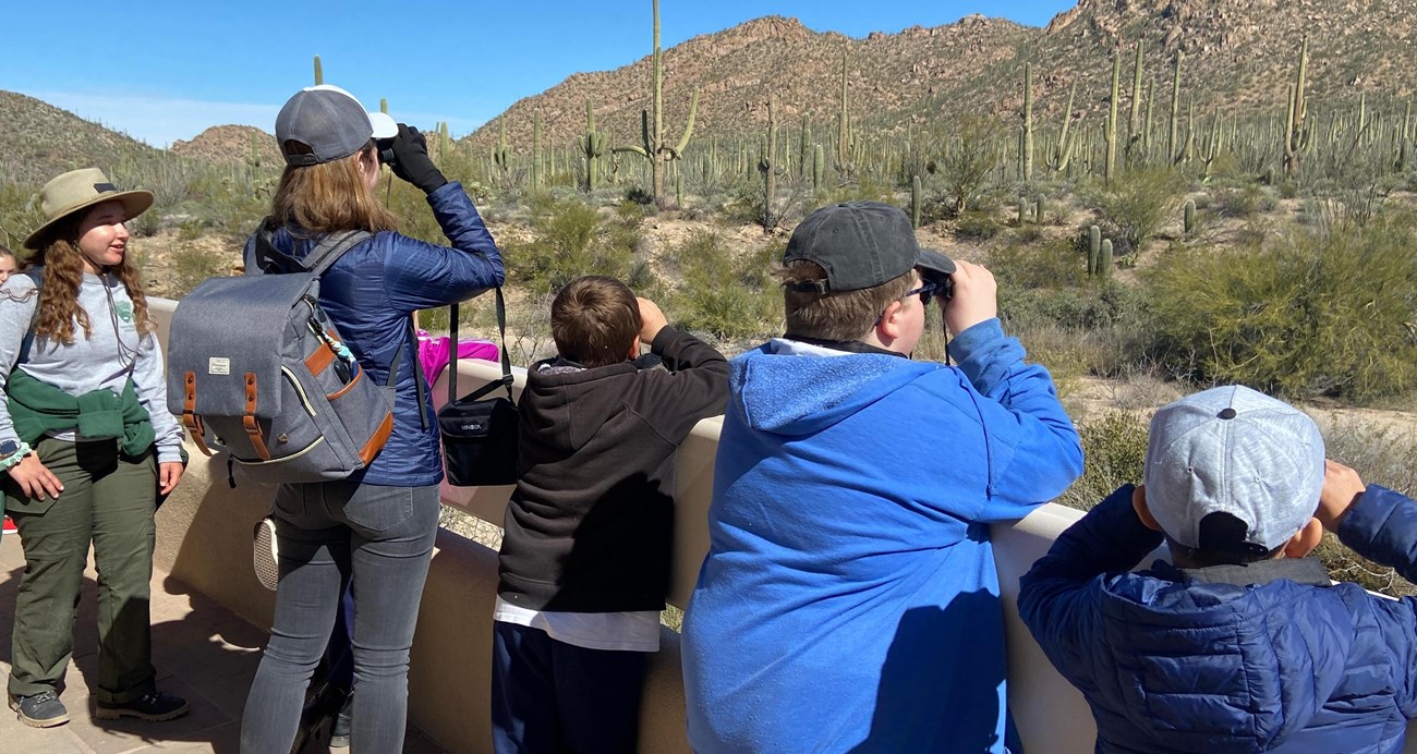kids and adults lined up at railing looking at sonoran desert landscape with binoculars