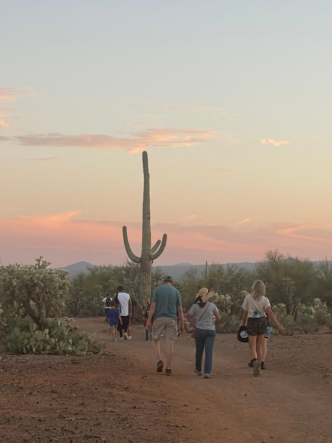 group of students on sunset-lit desert trail