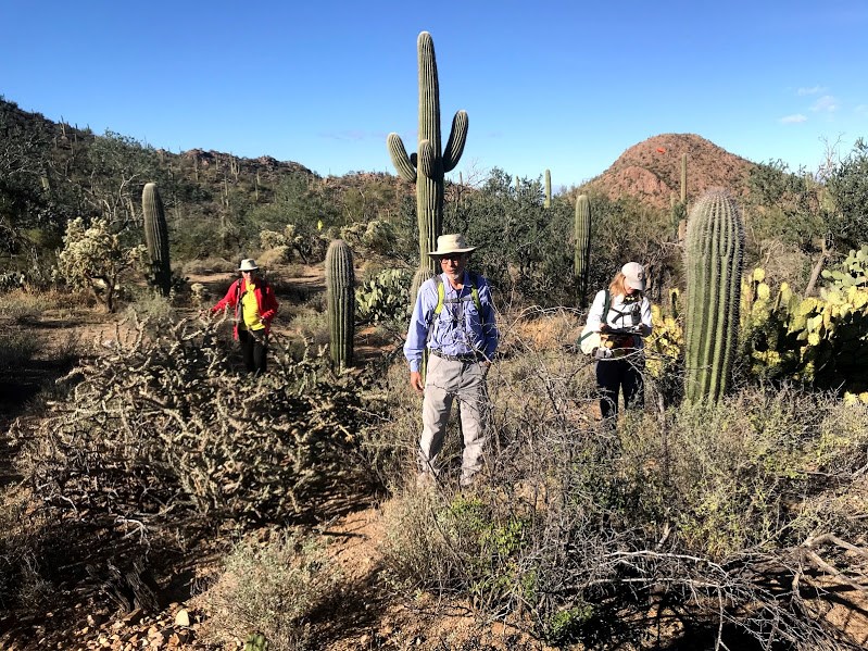 Volunteers out in the field collecting data