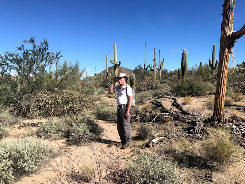 A man using a clinometer to find the height of a saguaro