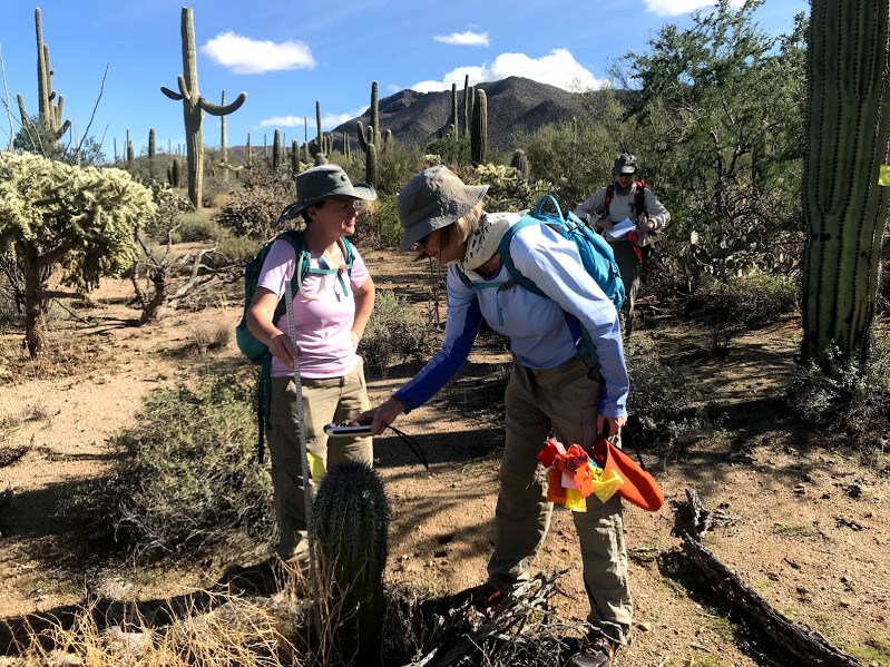 Tucson Mountain Hiking Group Saguaro National Park (U.S. National
