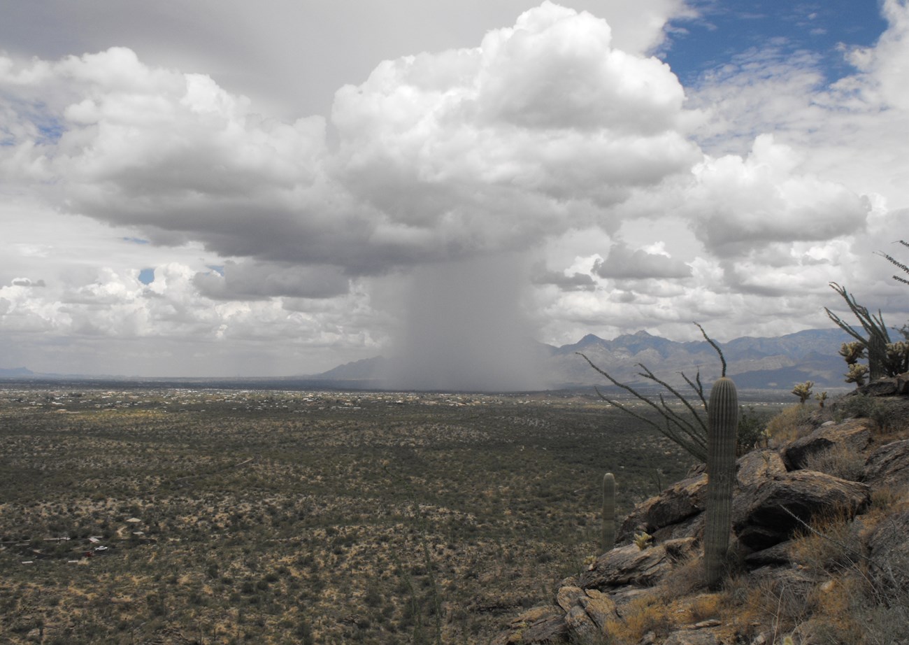 Landscape of Tucson seen from Saguaro National Park during a rain storm. Clouds dump a column of water down from the sky.
