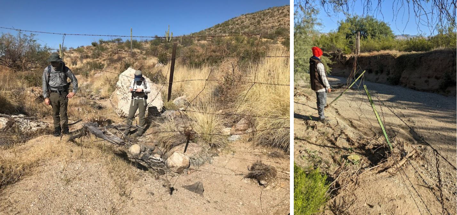 Collage of two photos. Left: Two crew members assess a damaged fence during scouting operations. The wire strands have broken. Right: A crew member observes a fence damaged by flash flooding. The fence posts are no longer upright.