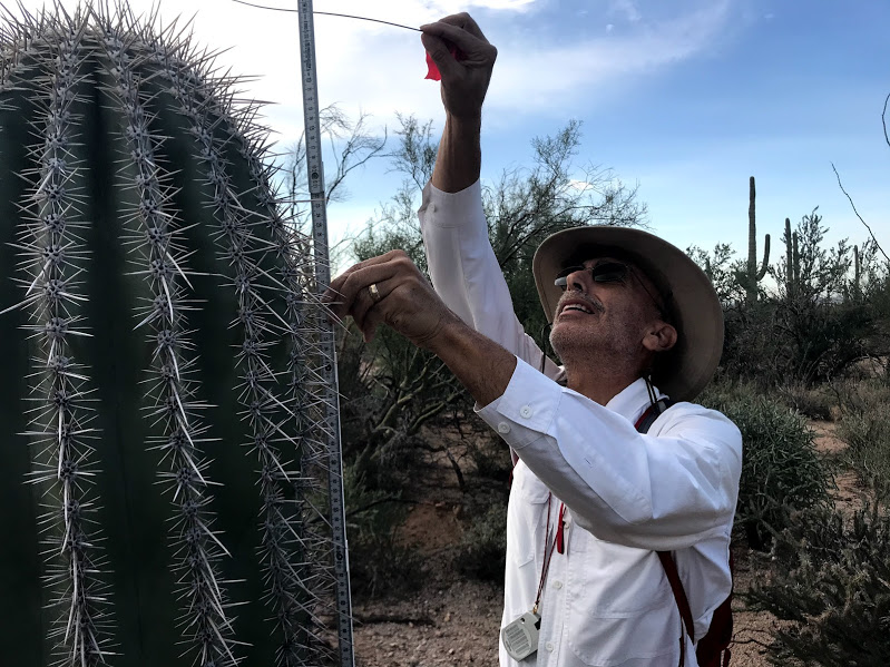 Board Members Of Friends Of Saguaro National Park - Saguaro National ...