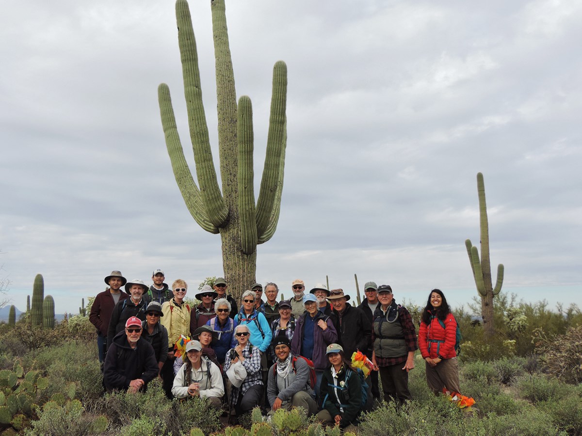 Tucson Mountain Hiking Group Plot 44 Saguaro National Park (U.S