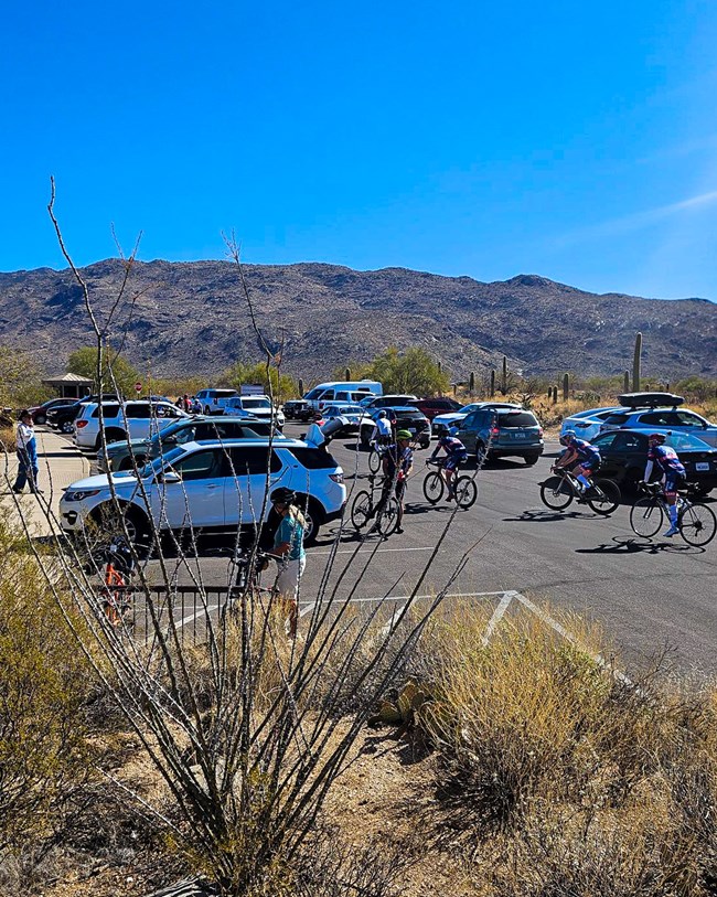 Looking East across the RMD parking lot on a normal fall through Spring day. Almost every spot full, line of cars fills the lot, and cyclists ride in and out of cars.