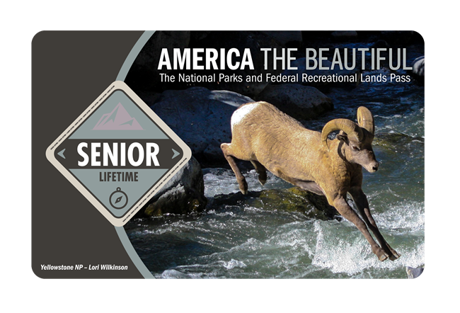 Senior Lifetime Pass