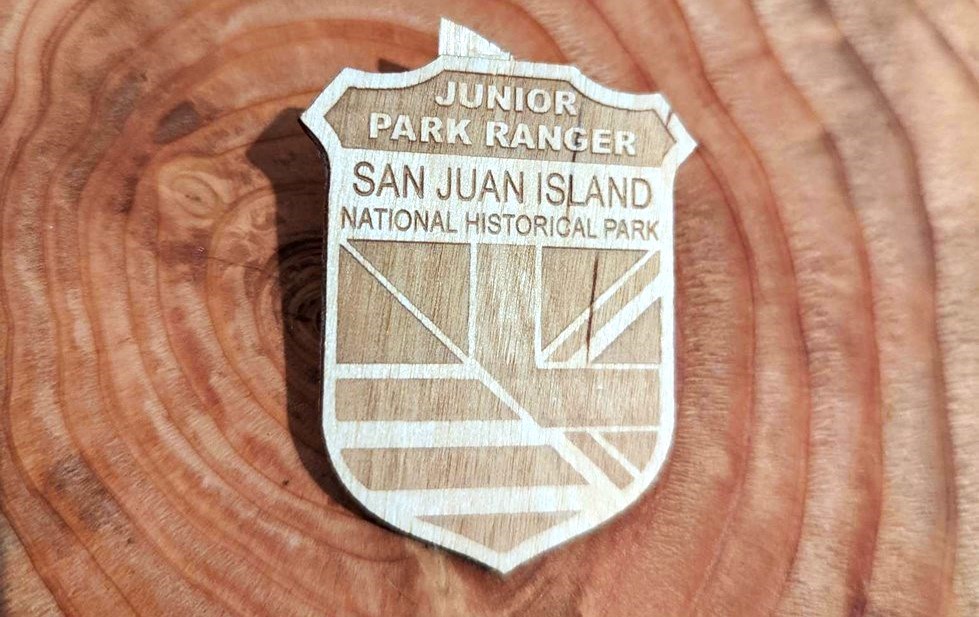 A wood junior ranger badge