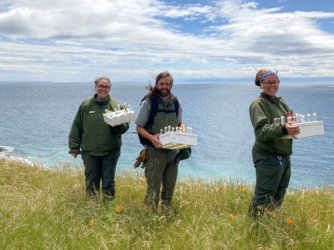 Three people in NPS uniforms holding boxes of vials standing on a grassy bluff by the ocean